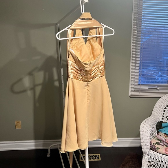 Champagne semi-formal dress - Picture 3 of 3
